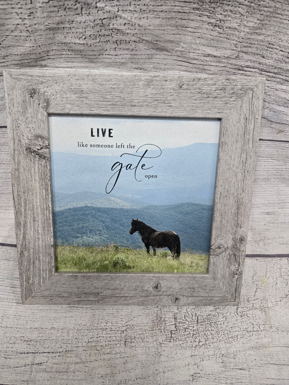 live like the gate is open- summer snow picture